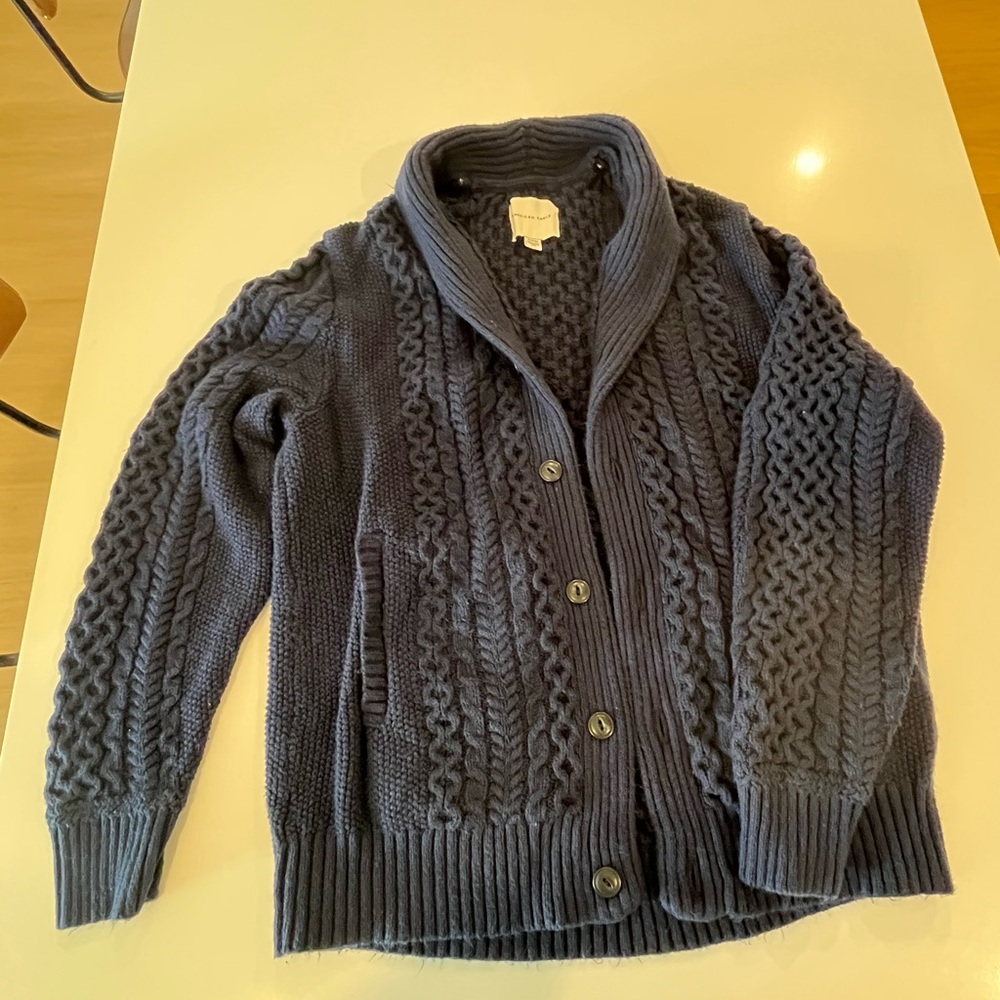 American Eagle Navy Cable Knit Sweater